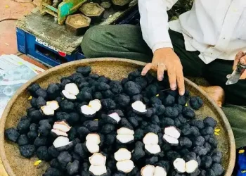 सर्दियों में सिंघाड़ा है आपकी सेहत के लिए जोरदार,जानिए, क्या होता है सेहत पर असर