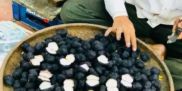 सर्दियों में सिंघाड़ा है आपकी सेहत के लिए जोरदार,जानिए, क्या होता है सेहत पर असर